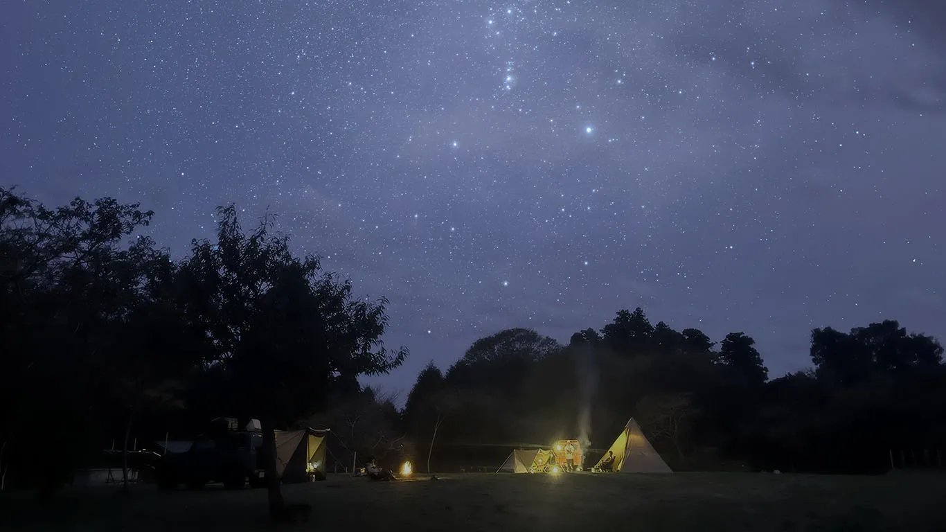 夜の星空の下に並ぶキャンプサイトのテント