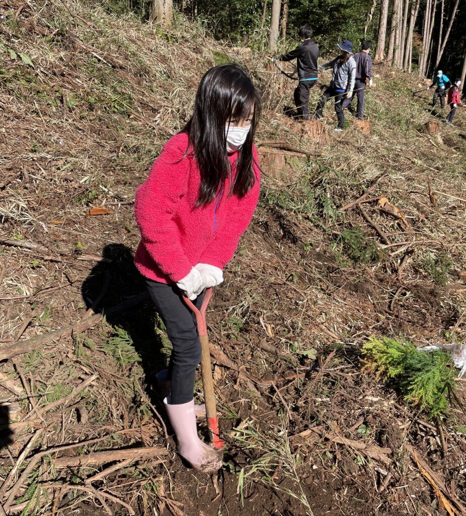 GREENTOPIA FOREST|千葉県山武市の森と歩む